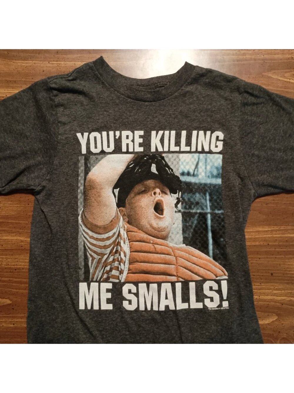 The Sandlot Movie T-Shirt - Small // Funny Baseball Quote graphic Tee Shirt